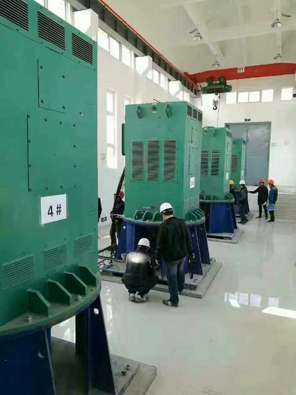 船营某污水处理厂使用我厂的立式高压电机安装现场生产厂家